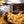 Load image into Gallery viewer, Pecan Brittle 1/2 Pound
